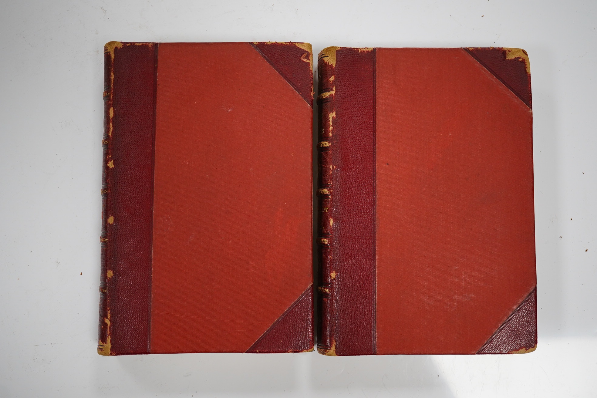Blunt, Lady Anne - Bedouin Tribes of the Euphrates. Edited, with a preface and some account of the Arabs and their horses, by W.S.B. (ie. Wilfrid Scawen Blunt). First Edition, 2 vols. 12 plates, a coloured and folded map